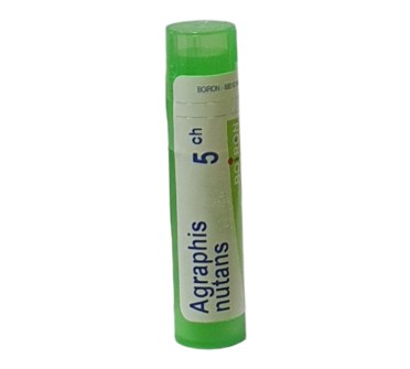 AGRAPHIS NUTANS 5CH